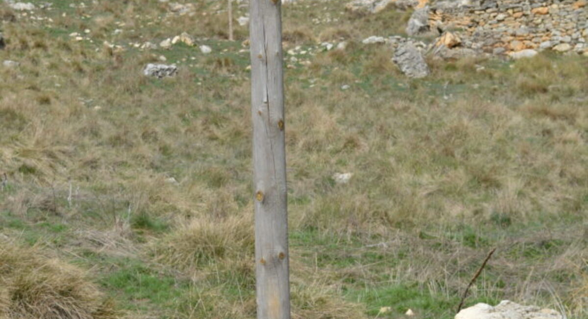 DSC_0011-2-scaled DSC_0011-2-scaled