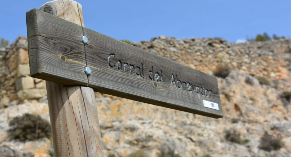 DSC_0013-scaled DSC_0013-scaled