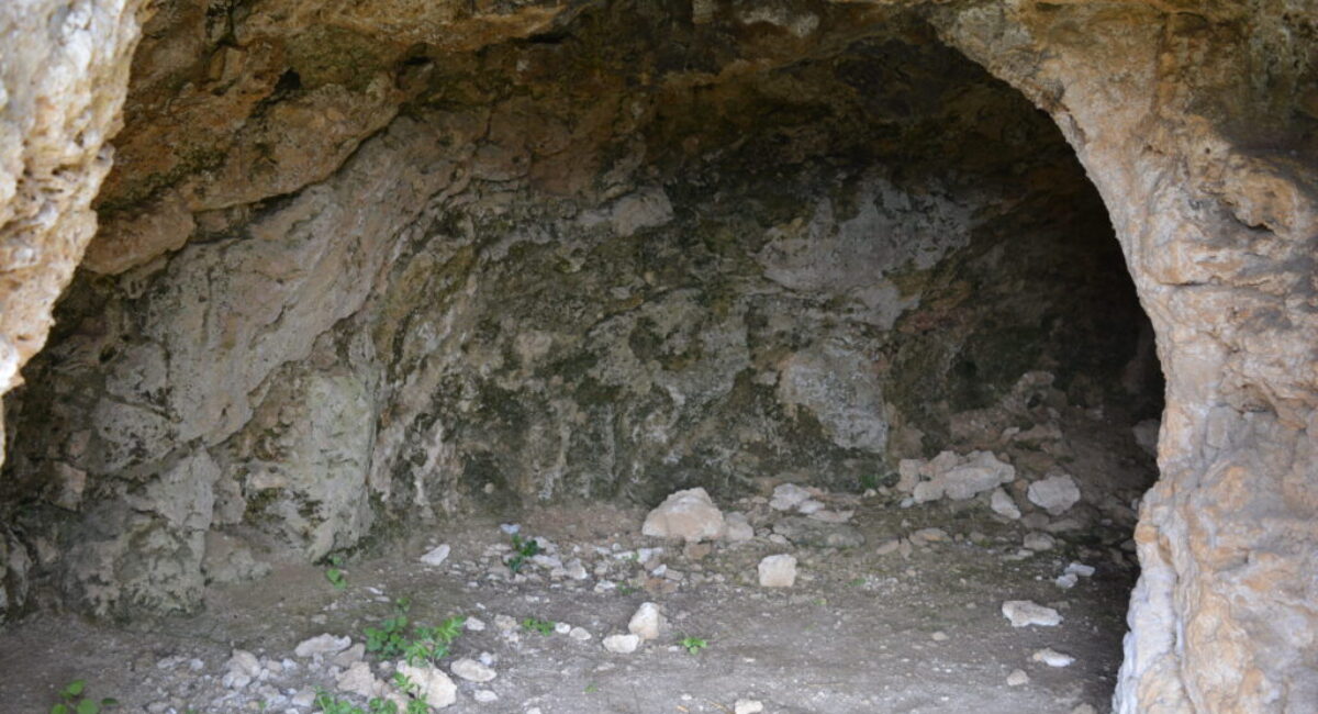 DSC_0015-scaled DSC_0015-scaled