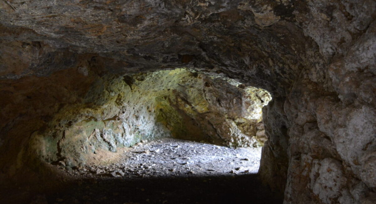 DSC_0016-scaled DSC_0016-scaled