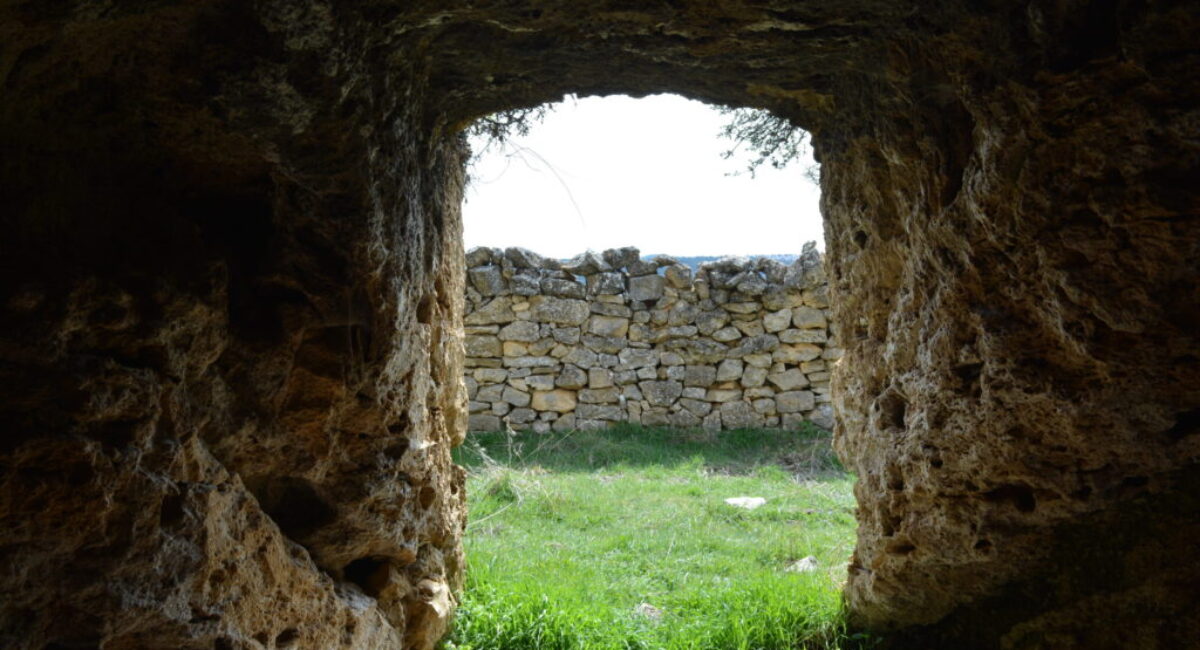 DSC_0017-scaled DSC_0017-scaled