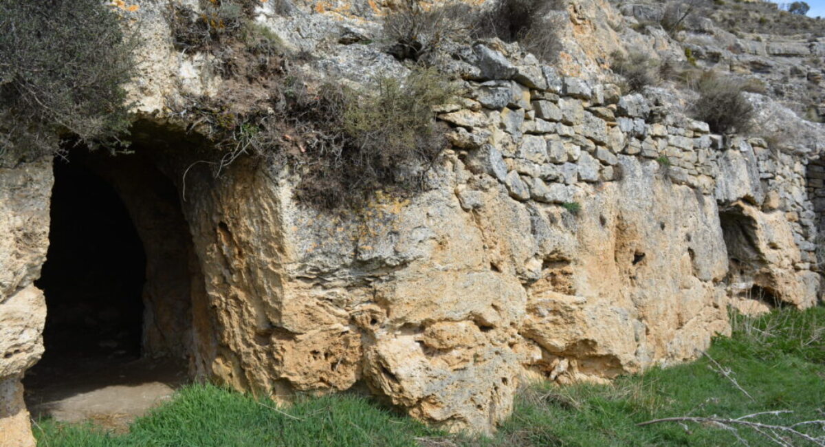 DSC_0018-scaled DSC_0018-scaled