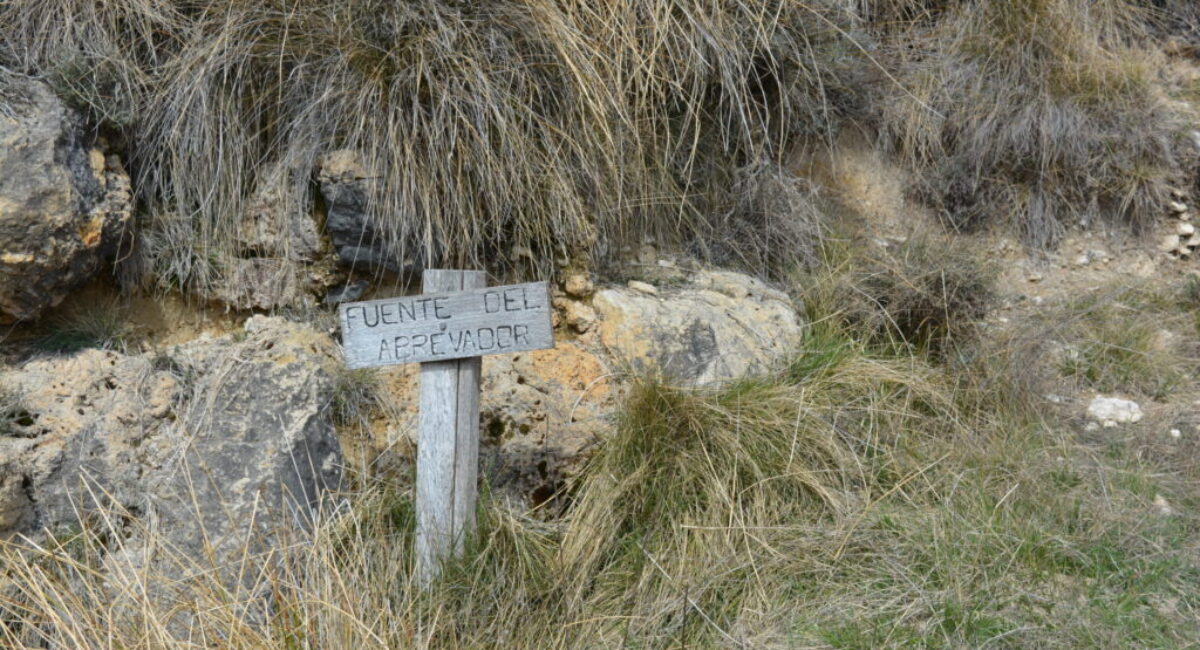 DSC_0019-scaled DSC_0019-scaled