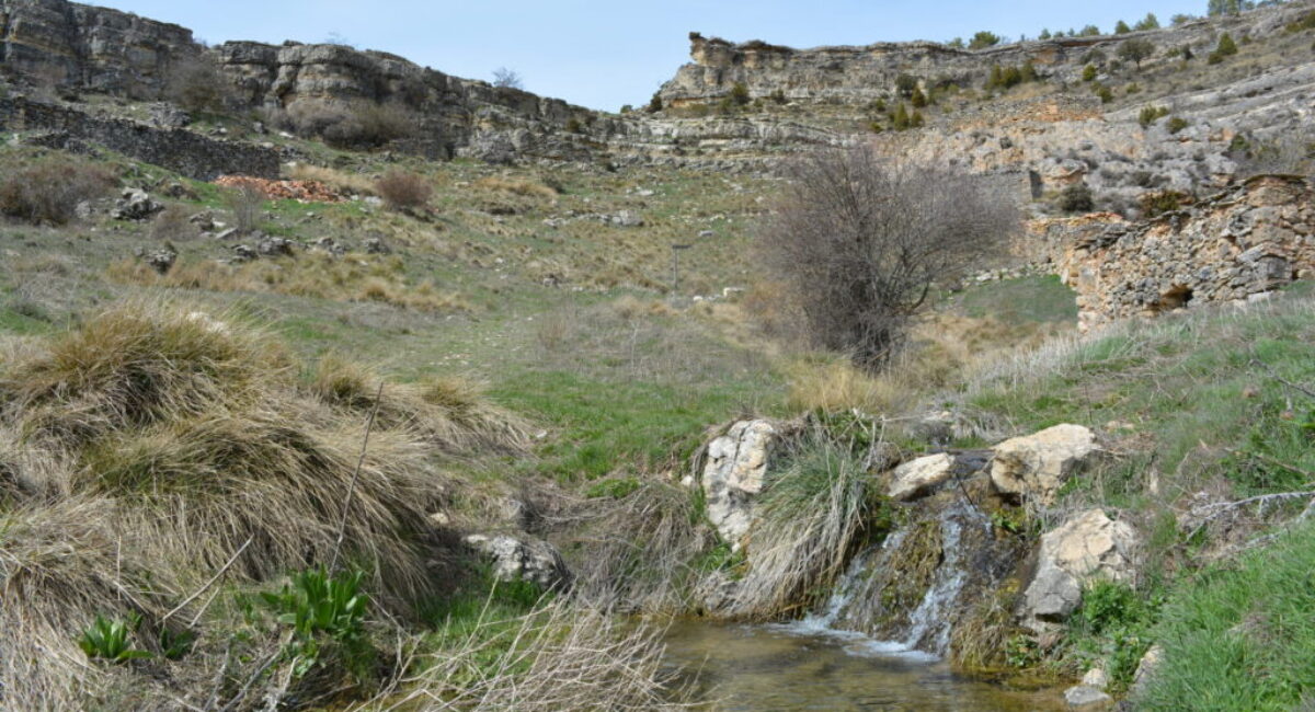 DSC_0126-scaled DSC_0126-scaled