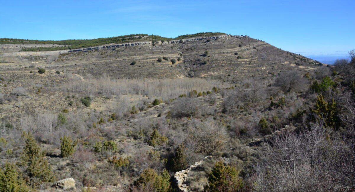 DSC_0832-scaled DSC_0832-scaled