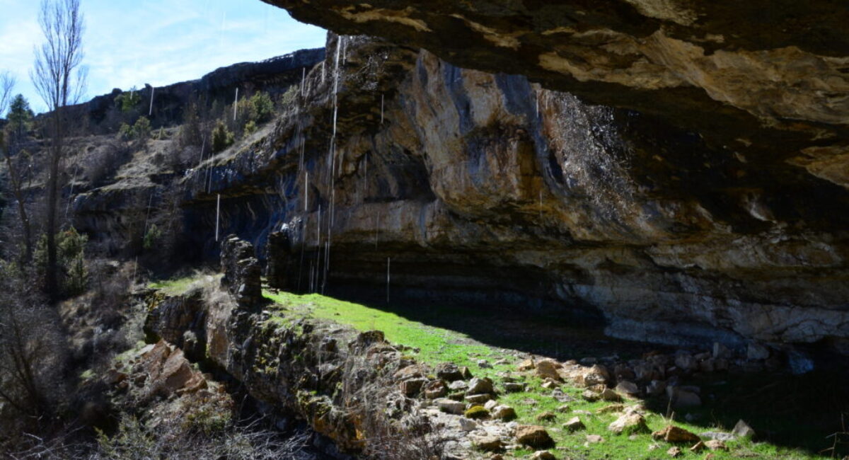 DSC_0870-scaled DSC_0870-scaled