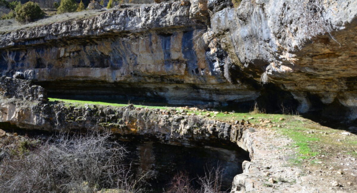 DSC_0875-scaled DSC_0875-scaled