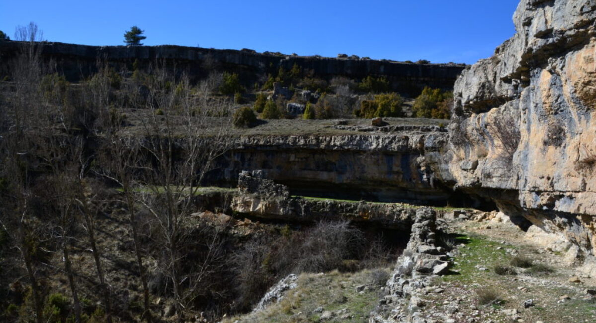 DSC_0878-scaled DSC_0878-scaled