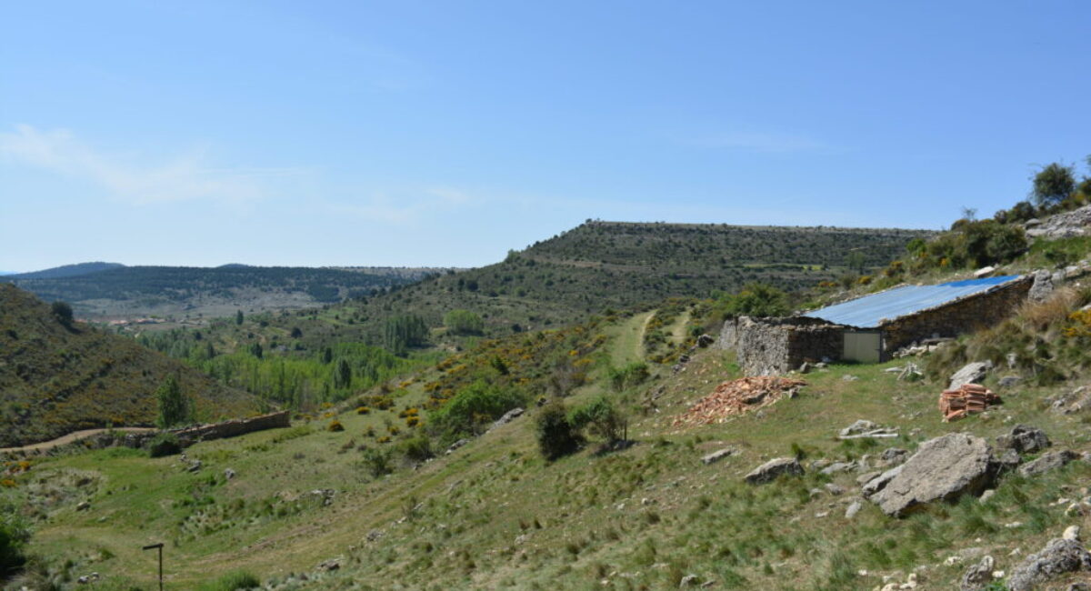 DSC_1675-scaled DSC_1675-scaled