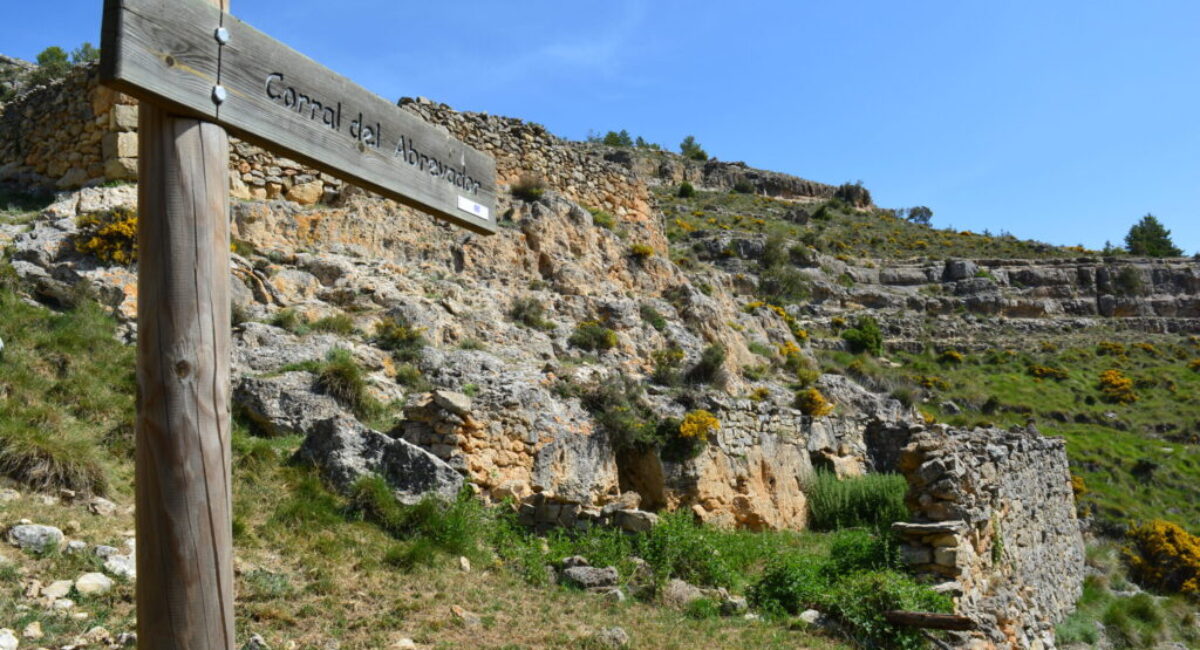 DSC_1677-scaled DSC_1677-scaled