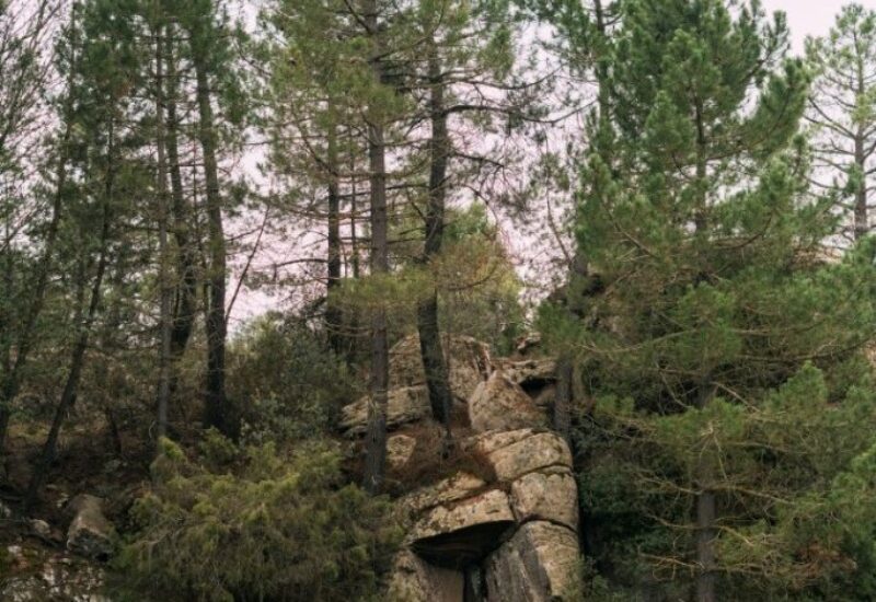 El-Rodeno-castielfabib-3 El-Rodeno-castielfabib-3