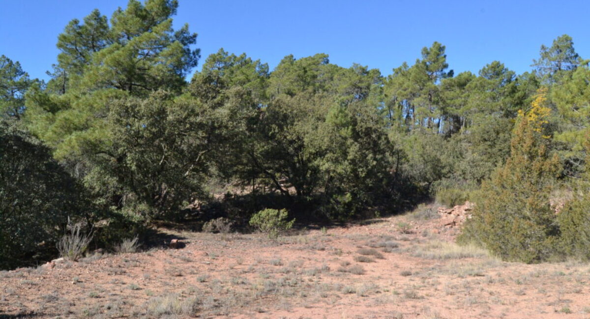 Ruta-BTT-r6-del-rodeno-13 Ruta-BTT-r6-del-rodeno-13