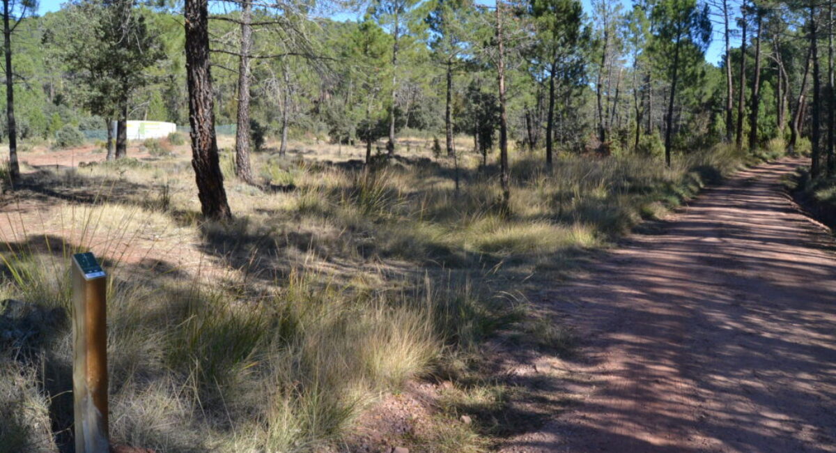 Ruta-BTT-r6-del-rodeno-14 Ruta-BTT-r6-del-rodeno-14