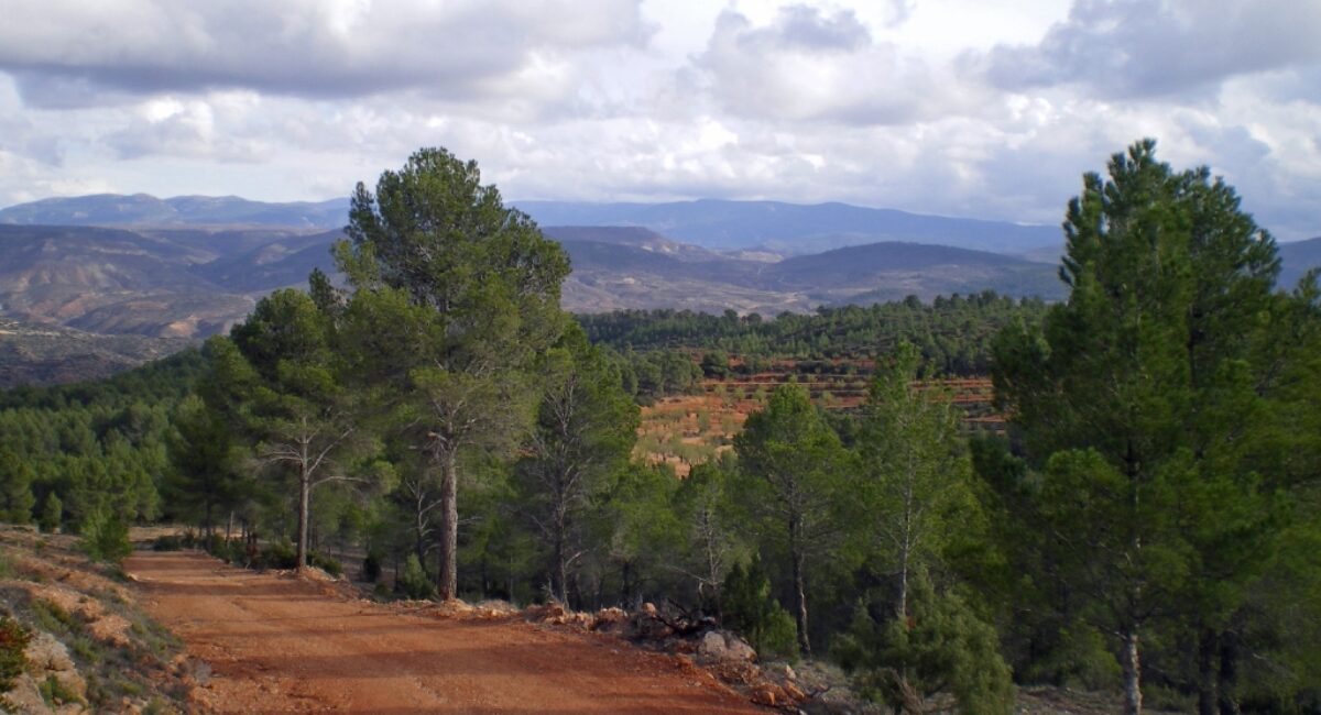 Ruta-BTT-r6-del-rodeno-17 Ruta-BTT-r6-del-rodeno-17