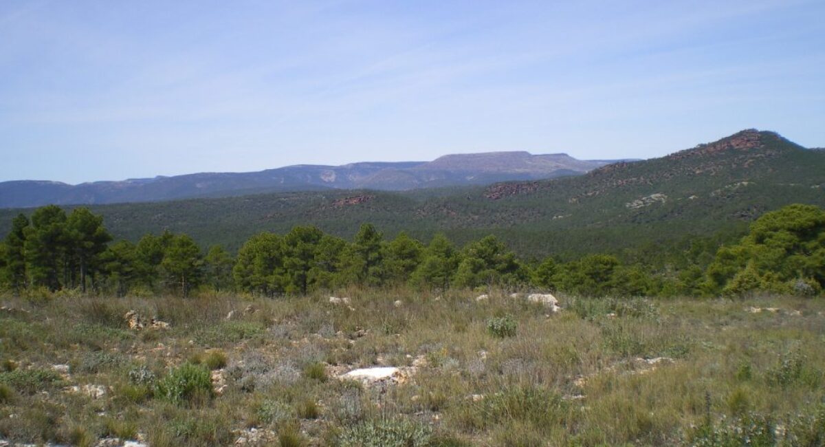 Ruta-BTT-r6-del-rodeno-18 Ruta-BTT-r6-del-rodeno-18