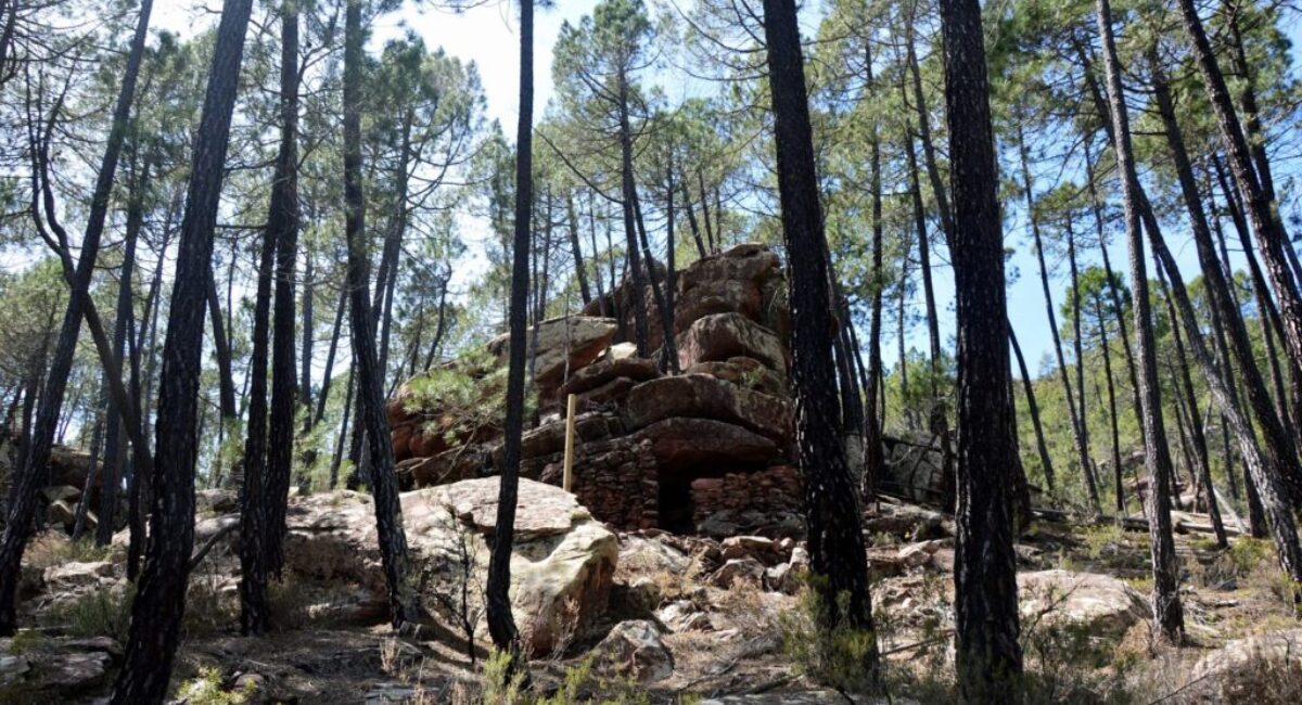 TRAMO-5-desde-Torrealta-a-Castielfabib-por-la-ruta-del-Rodeno2 TRAMO-5-desde-Torrealta-a-Castielfabib-por-la-ruta-del-Rodeno2