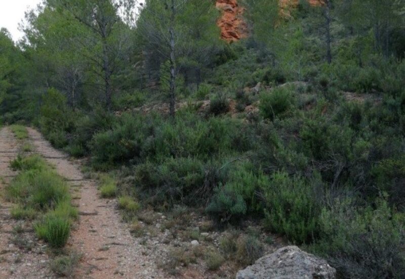 Val-del-agua-2 Val-del-agua-2