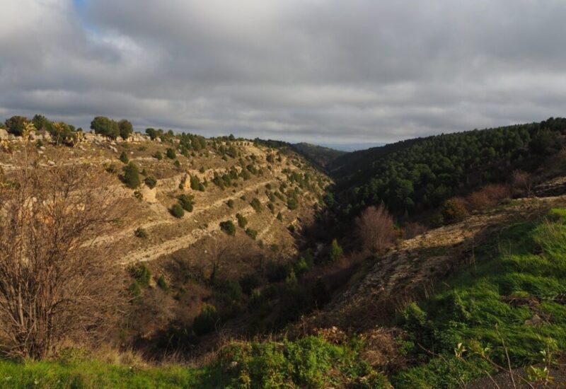 arrecifes-jurasicos-de-Arroyo-Cerezo-2 arrecifes-jurasicos-de-Arroyo-Cerezo-2