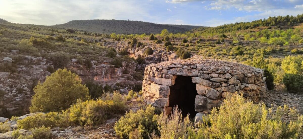 camino-del-oro-verde-12 camino-del-oro-verde-12