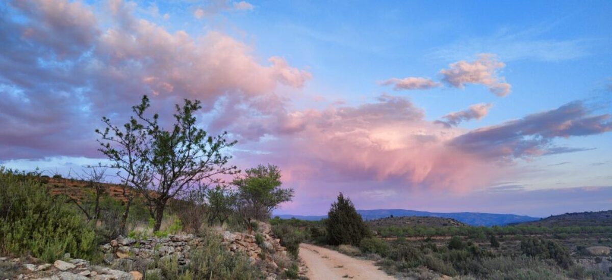 camino-del-oro-verde-9 camino-del-oro-verde-9