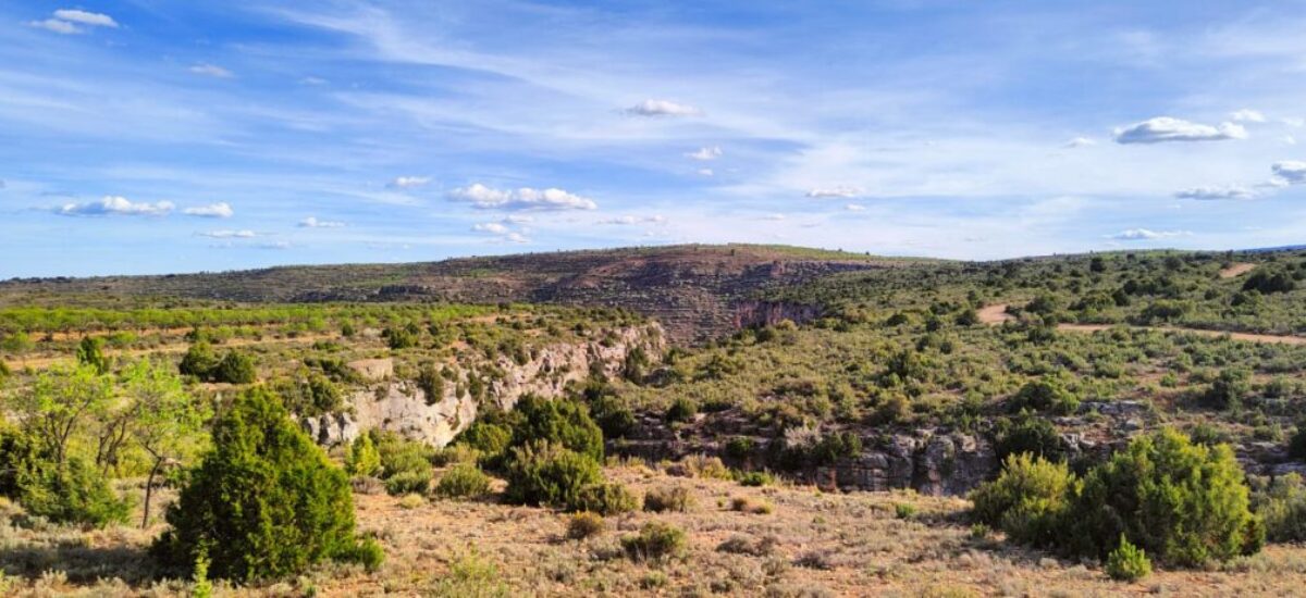 camino-del-oro-verde1 camino-del-oro-verde1