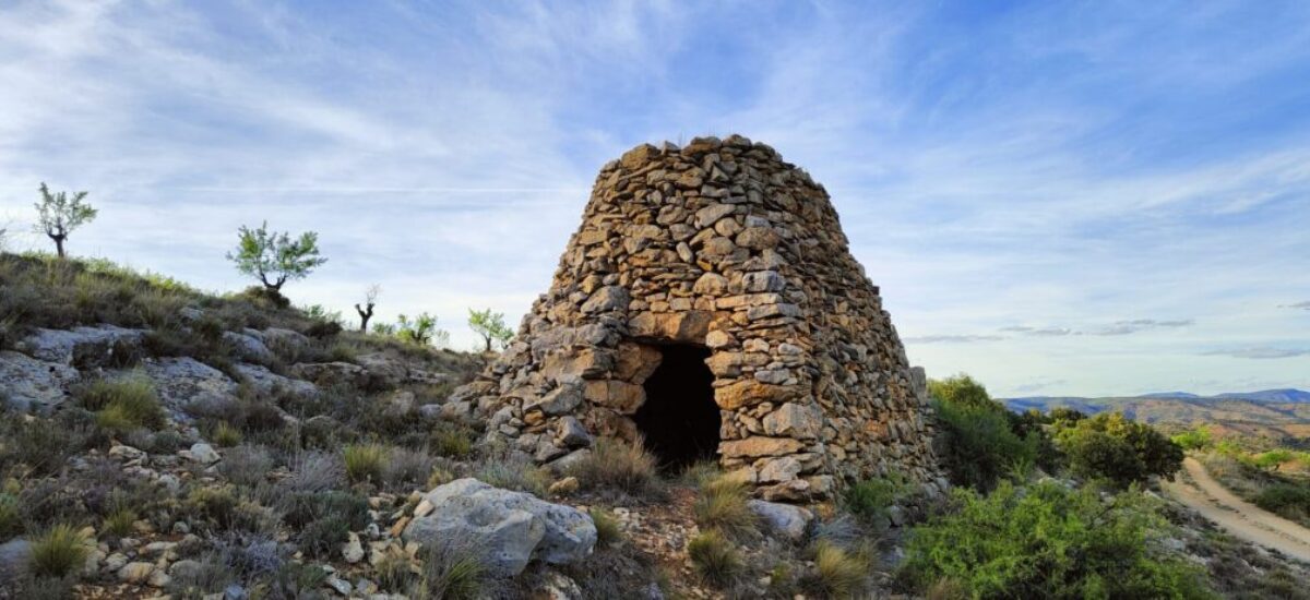 camino-del-oro-verde4 camino-del-oro-verde4