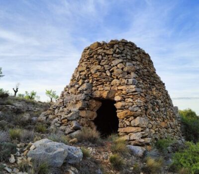 camino-del-oro-verde4