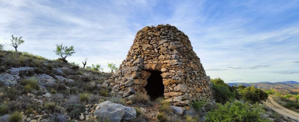 camino-del-oro-verde4