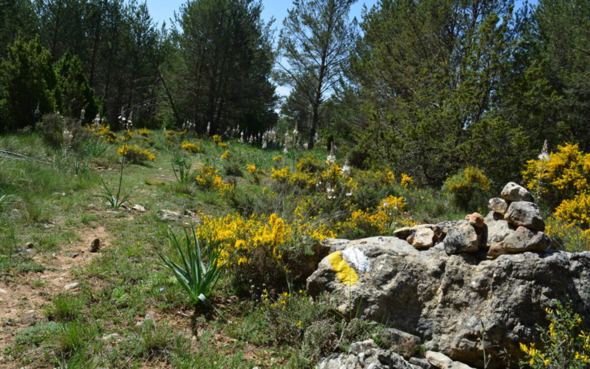 crestas-de-los-3-reinos-10-scaled-1 crestas-de-los-3-reinos-10-scaled-1