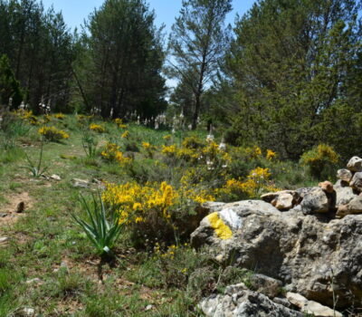 crestas-de-los-3-reinos-10-scaled-1