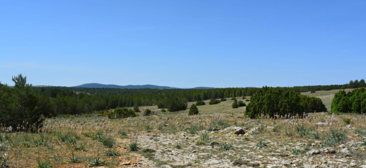 crestas-de-los-3-reinos-14-scaled crestas-de-los-3-reinos-14-scaled