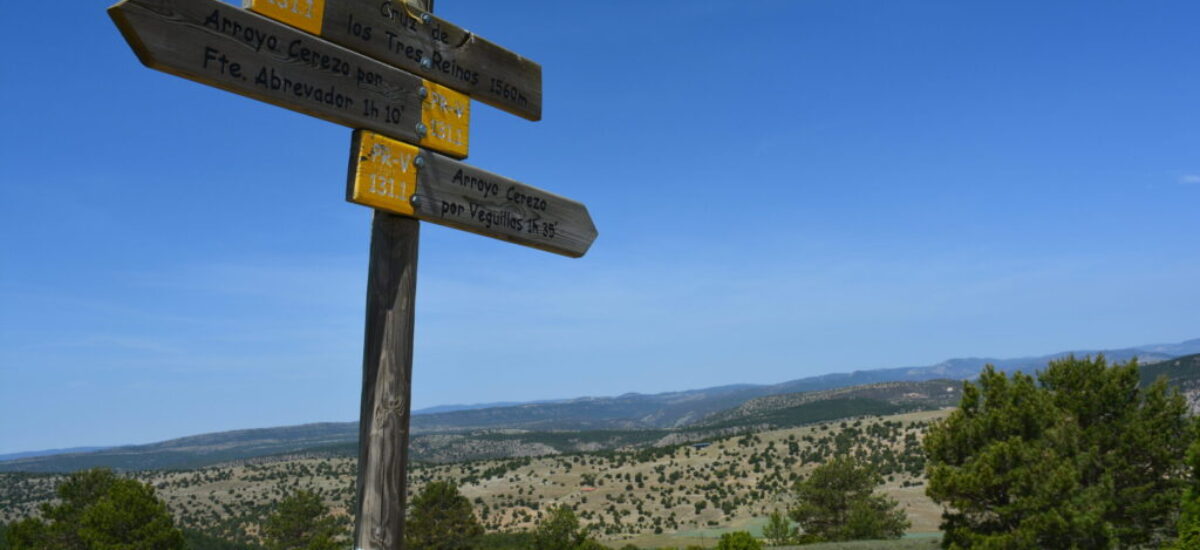 crestas-de-los-3-reinos-17-scaled crestas-de-los-3-reinos-17-scaled