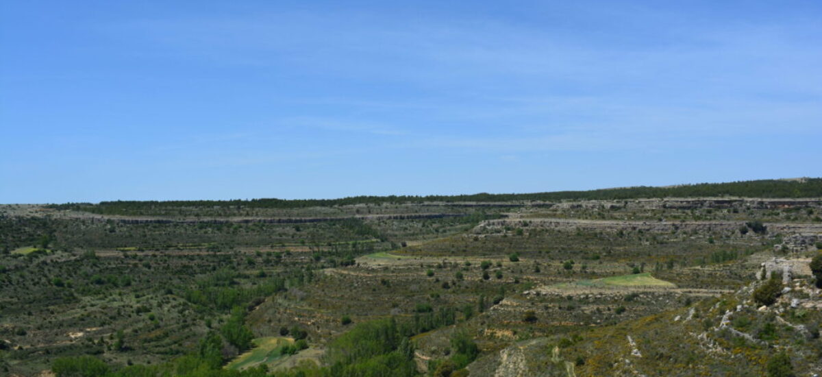 crestas-de-los-3-reinos-20-scaled crestas-de-los-3-reinos-20-scaled