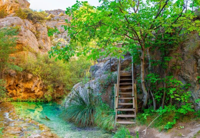 Ruta botanica del rio Ebrón en Teruel Ruta botanica del rio Ebrón en Teruel