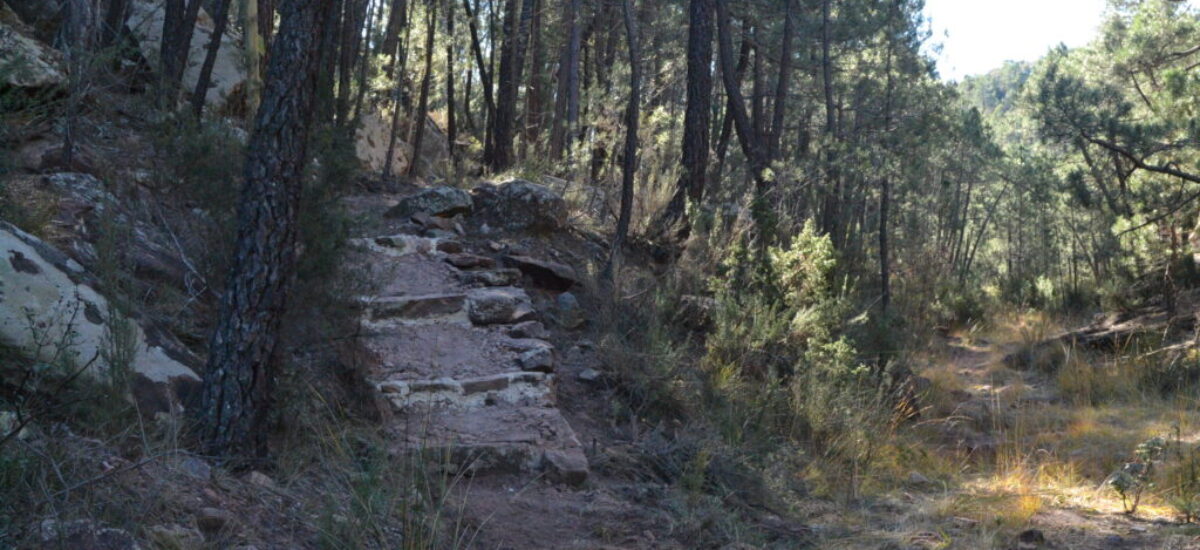 pinturas-rupestres-lomas-de-abril-2 pinturas-rupestres-lomas-de-abril-2