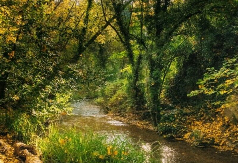 riberas-del-ebron-1 riberas-del-ebron-1