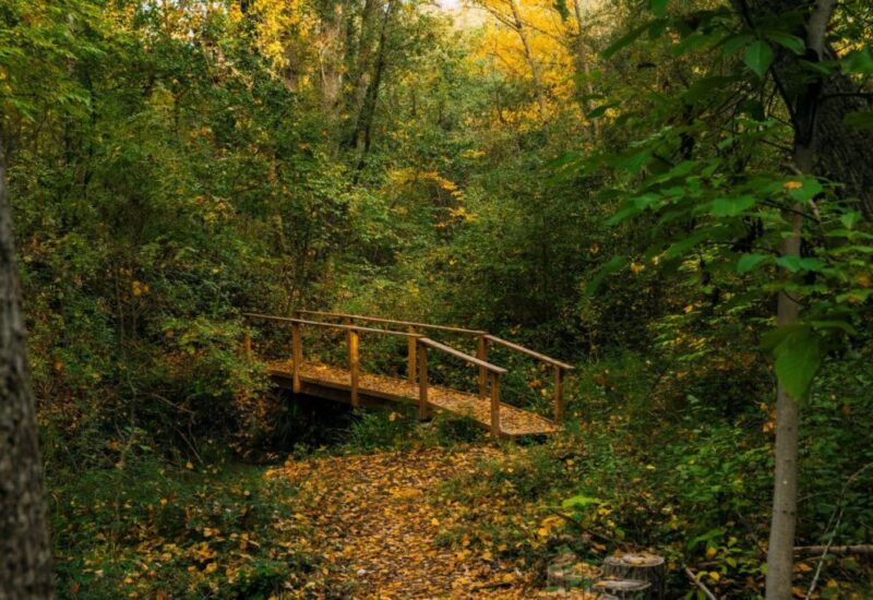 riberas-del-ebron-2 riberas-del-ebron-2