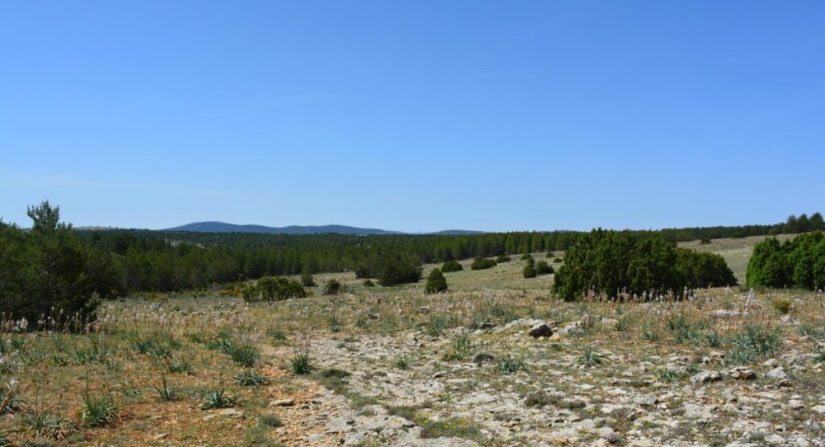 ruta-btt-cruz-de-los-3-reinos15-scaled ruta-btt-cruz-de-los-3-reinos15-scaled