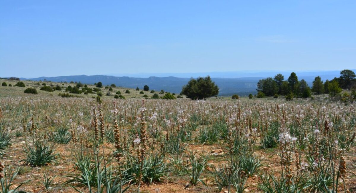ruta-btt-cruz-de-los-3-reinos17-scaled ruta-btt-cruz-de-los-3-reinos17-scaled