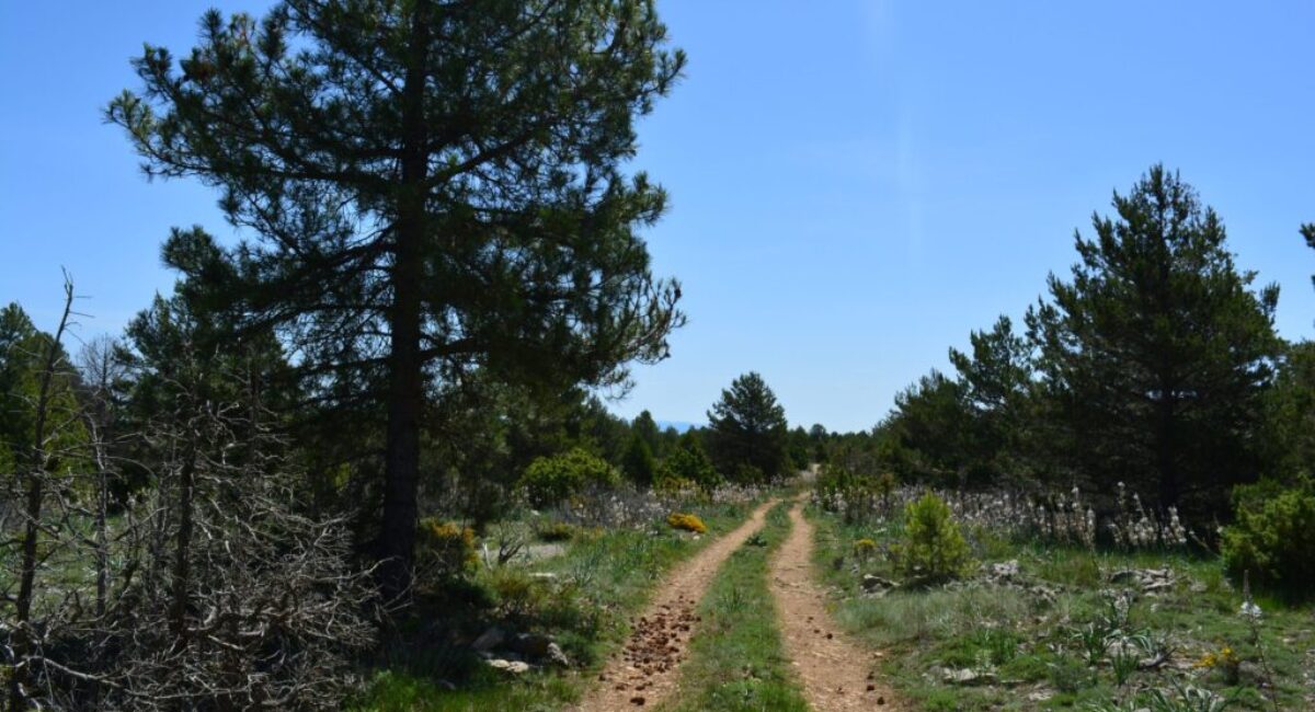 ruta-btt-cruz-de-los-3-reinos19-scaled ruta-btt-cruz-de-los-3-reinos19-scaled