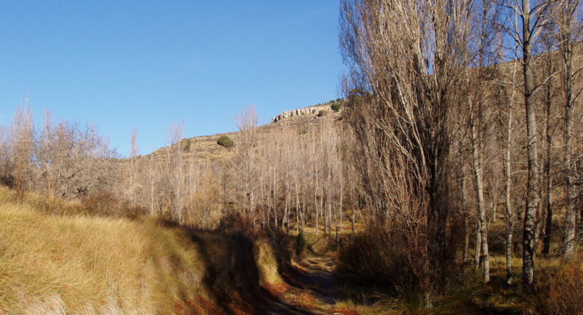 OLYMPUS DIGITAL CAMERA OLYMPUS DIGITAL CAMERA