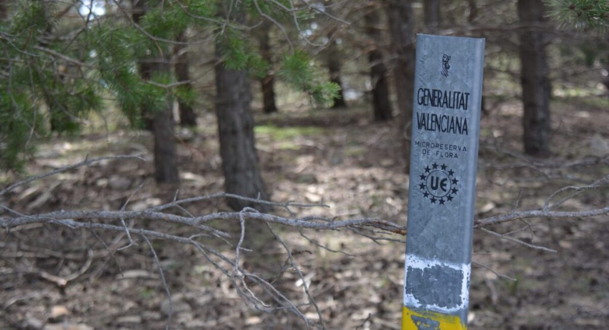 ruta-btt-cruz-de-los-3-reinos5-scaled ruta-btt-cruz-de-los-3-reinos5-scaled