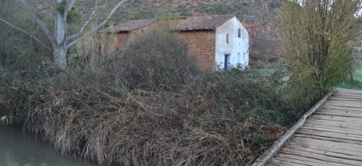 ruta-paisajes-rambla-mas-de-jacinto-4-scaled ruta-paisajes-rambla-mas-de-jacinto-4-scaled