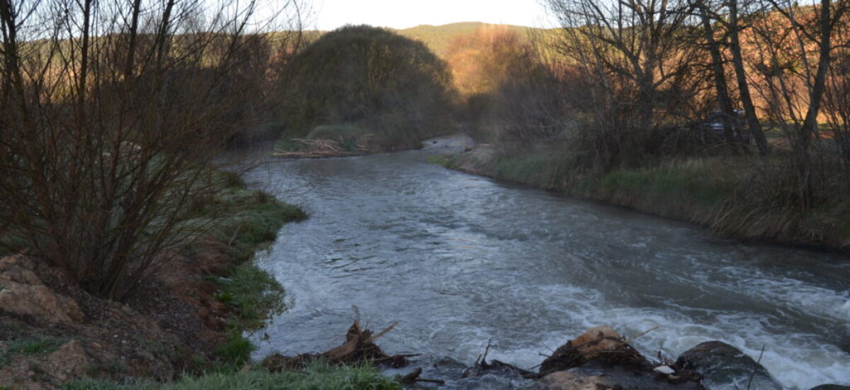 ruta-paisajes-rambla-mas-de-jacinto-5-scaled ruta-paisajes-rambla-mas-de-jacinto-5-scaled