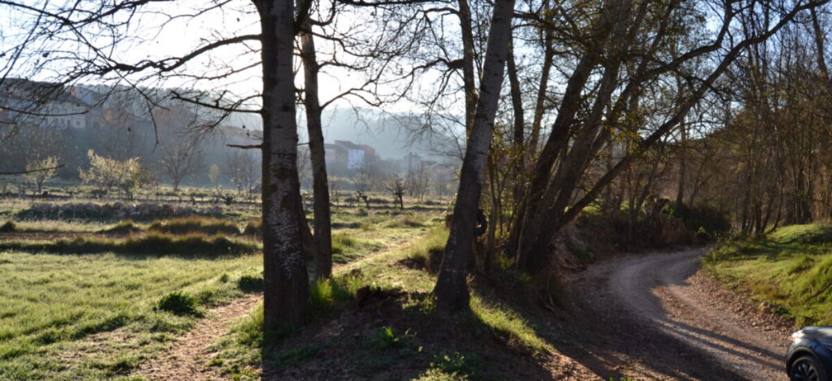 ruta-paisajes-rambla-mas-de-jacinto-7-scaled ruta-paisajes-rambla-mas-de-jacinto-7-scaled