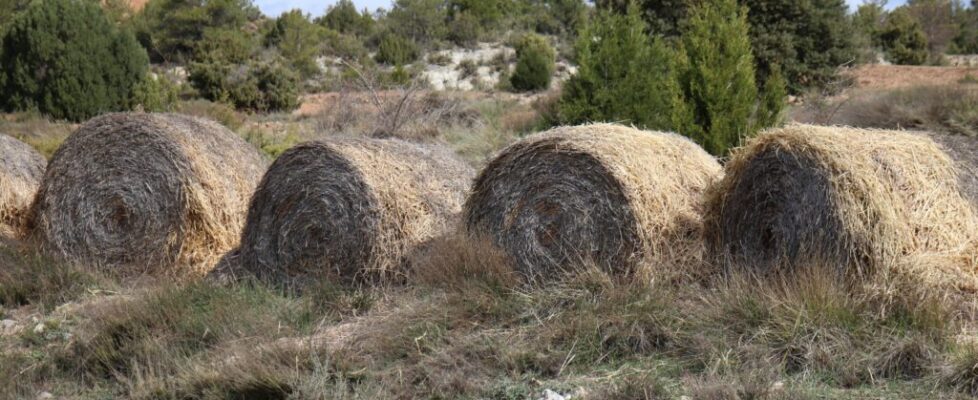 ruta-pr-cavanilles-6-scaled